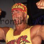 Hulk Hogan